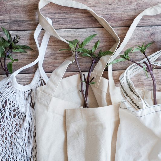 Compra Consciente: Guía para Elegir Productos Ecológicos en Ecuador