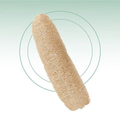 Fair Esponja Luffa Grande
