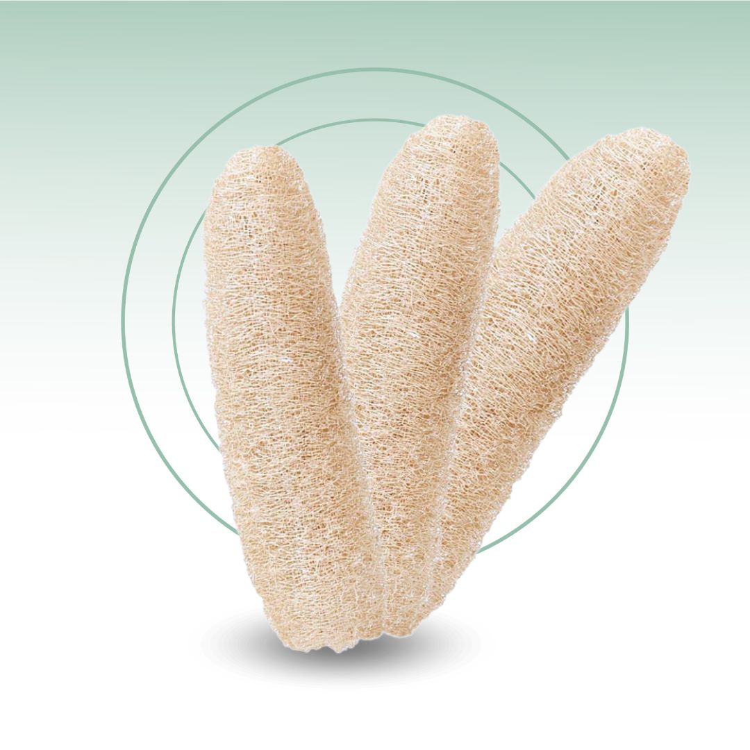 Fair Esponja Luffa Grande