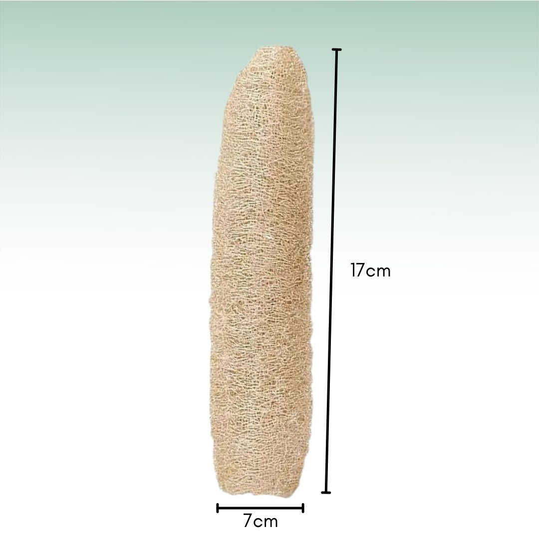 Fair Esponja Luffa Grande