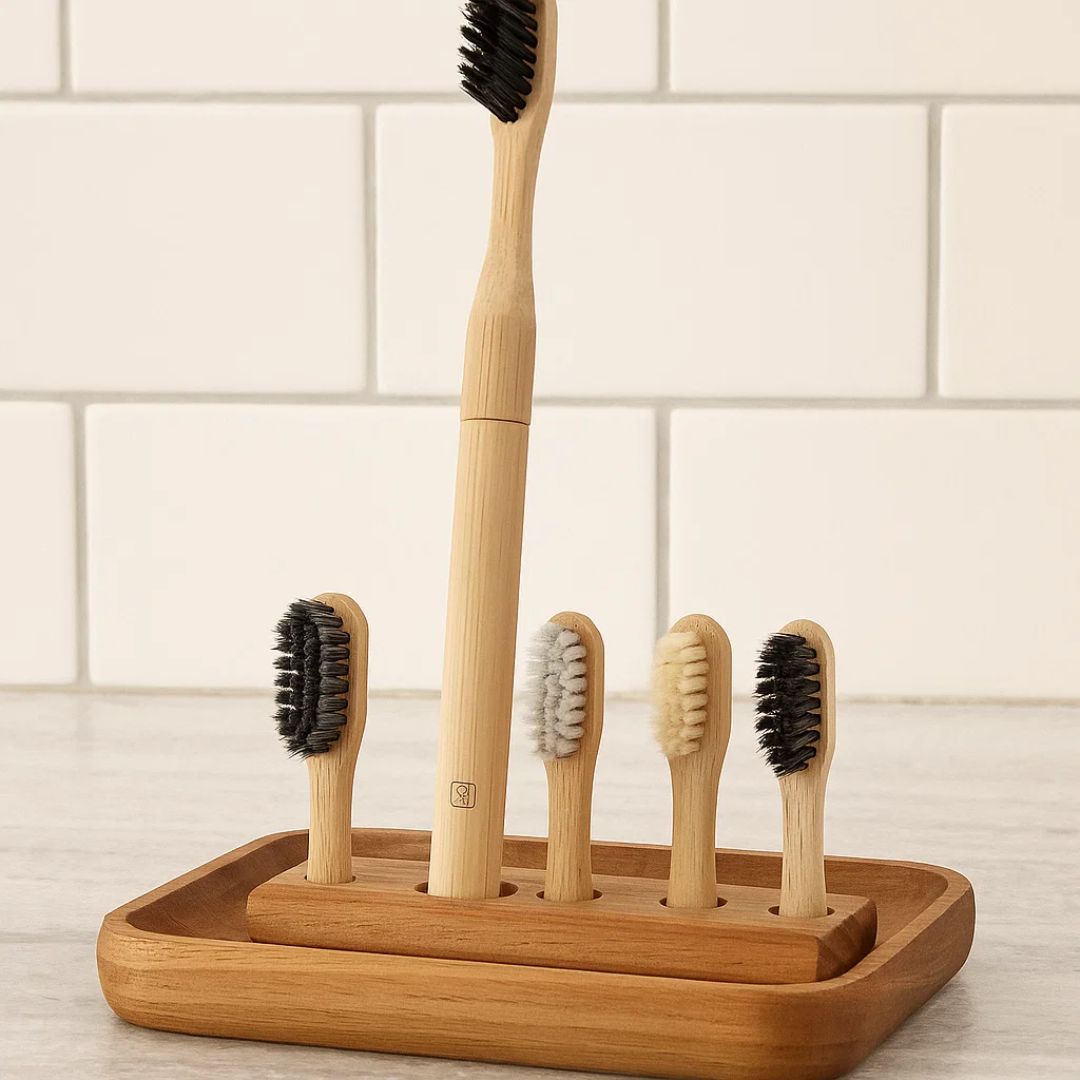 Fair Cepillo Dental de Bambú Cabeza Cambiable Repuestos