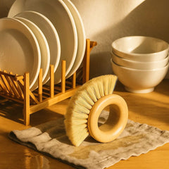 Fair Cepillo Lavaplatos Redondo